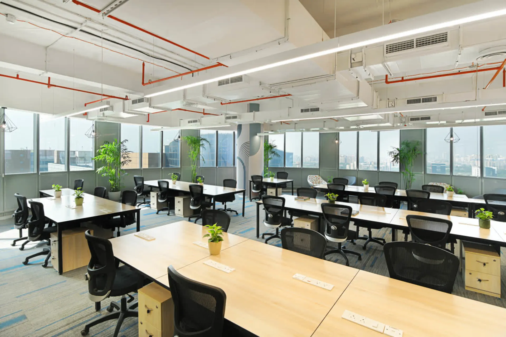 brookfields cowrks noida